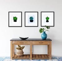Image 4 of 'Serene Succulent' Print