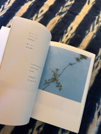 Image 3 of The eyes, the ears- Rinko Kawauchi, 2005