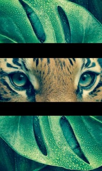 Image 5 of Sacred Forest Healing 🐯💚🐆