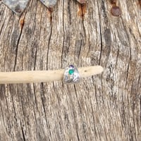 Image 3 of Tri Colour