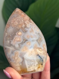 Image 3 of HQ FLOWER AGATE FLAME -MADAGASCAR- B