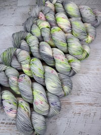 Image 3 of Spring Spin on WA&WC