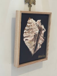 Image 5 of Conch Shell Treasure Original