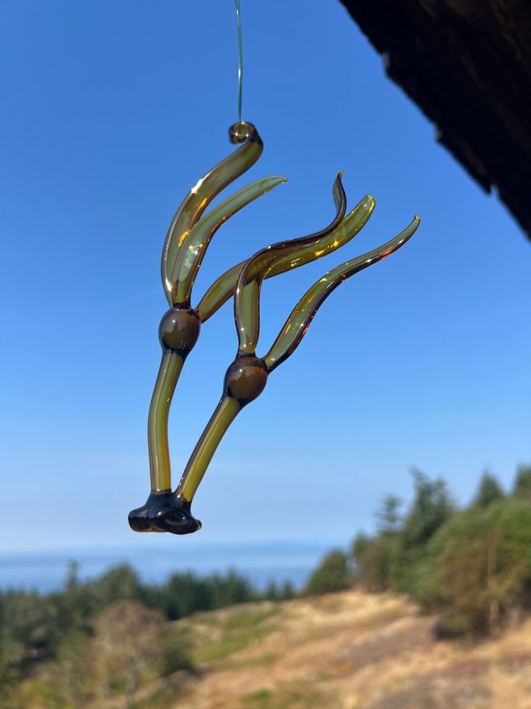 Image of Double Bull Kelp Ornament