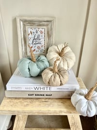 Image 4 of Mini Winnie Fabric Pumpkin 