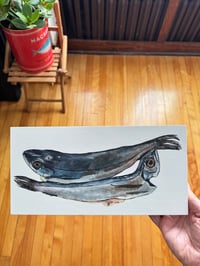 Image 4 of Supermarket Fish (2)