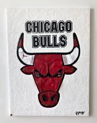 Image 1 of Chicago Bulls “Like Mike”