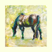 “Horse Grazing” 