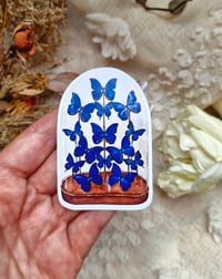 Image 5 of Butterfly & Moth Sticker Set