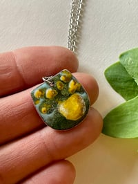 Image 3 of Potted Flowers 