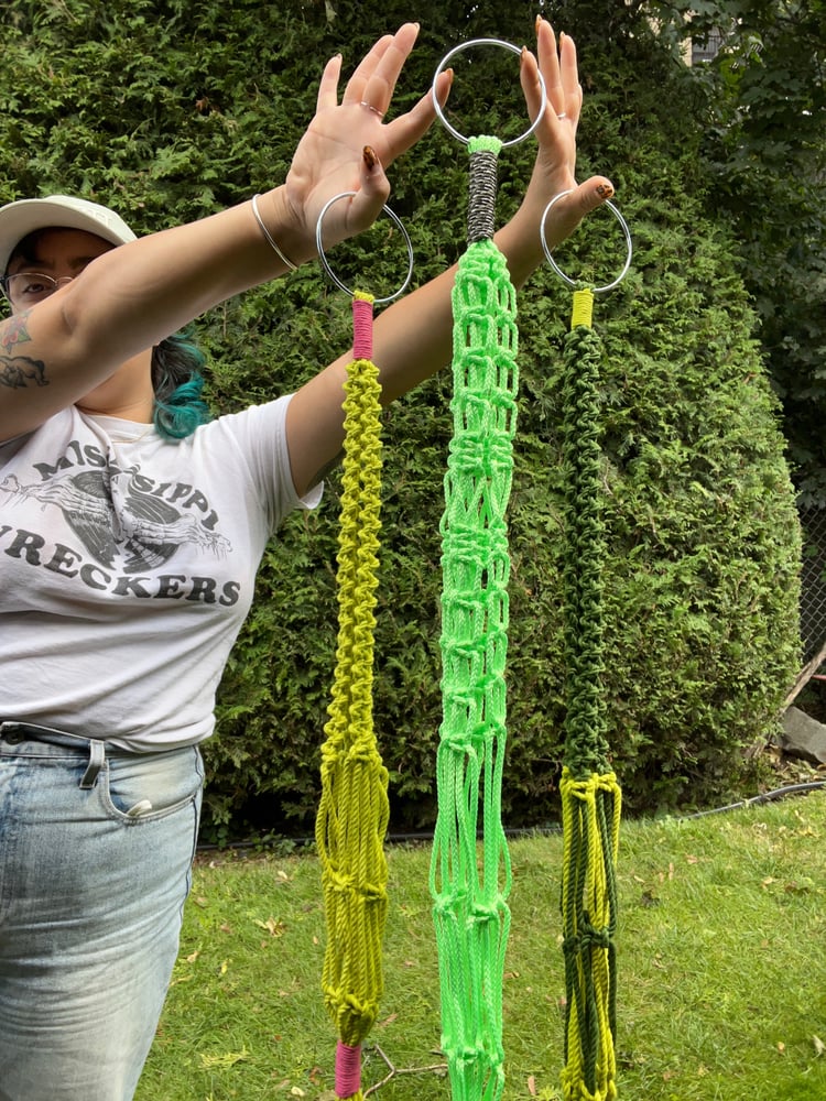 Image of Colorful Plant Hangers