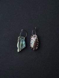 Image 2 of pierced abalone earingsss