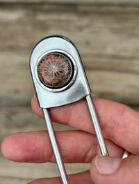 Image 3 of Fossilized Coral Jumbo Safety Pin 🧷