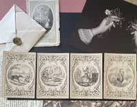 Image 8 of Jeu de cartes de l’Oracle Symbolique, jeu divinatoire, Wattillaux du XIXème siècle, très rare! 