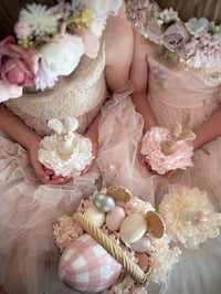 Image 9 of Cottontail