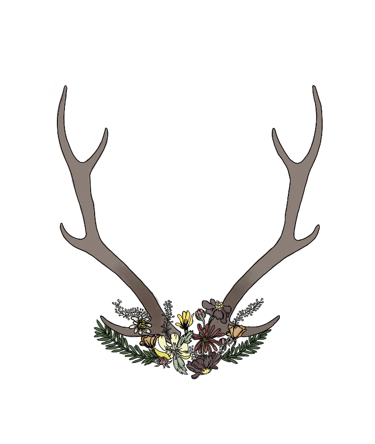 Image of Antlers & Flowers Stickers