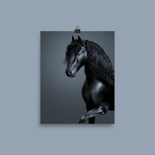 Image of Black Stallion