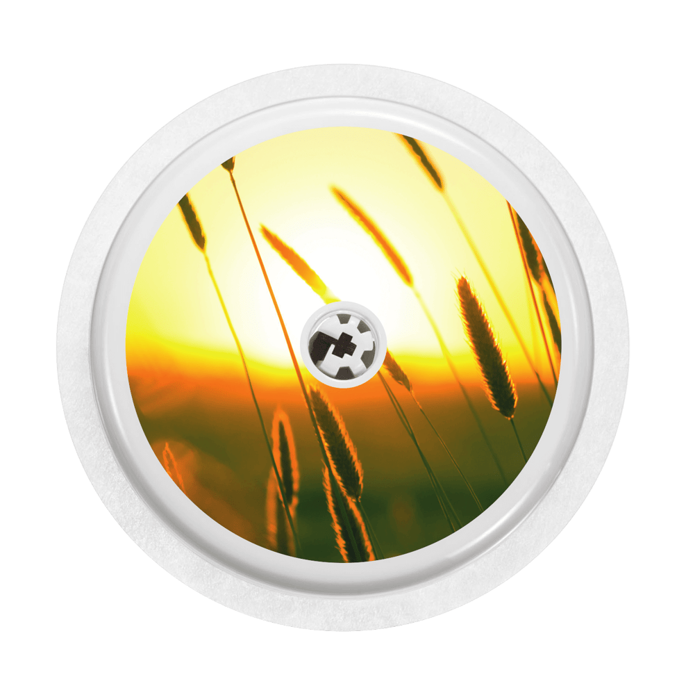 Image of Sunset Freestyle Libre Sticker