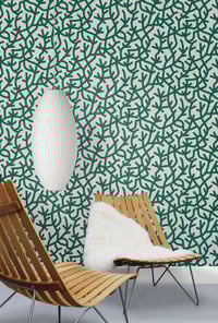 Image 1 of A Forest - Douglas Fir
