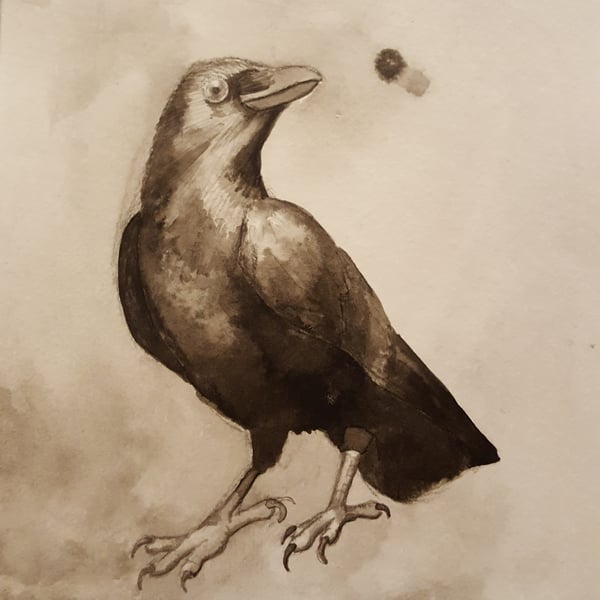 Image of Crow #2, 5"x6" ink wash painting