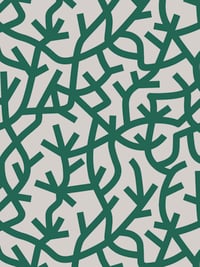 Image 2 of A Forest - Douglas Fir