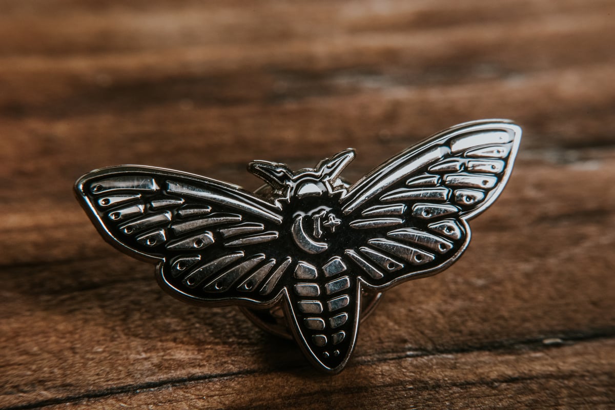 Image of Moth Pin