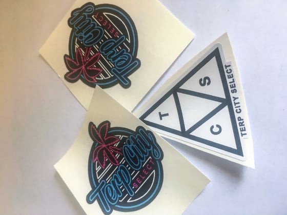 Image of SLAP PACK 