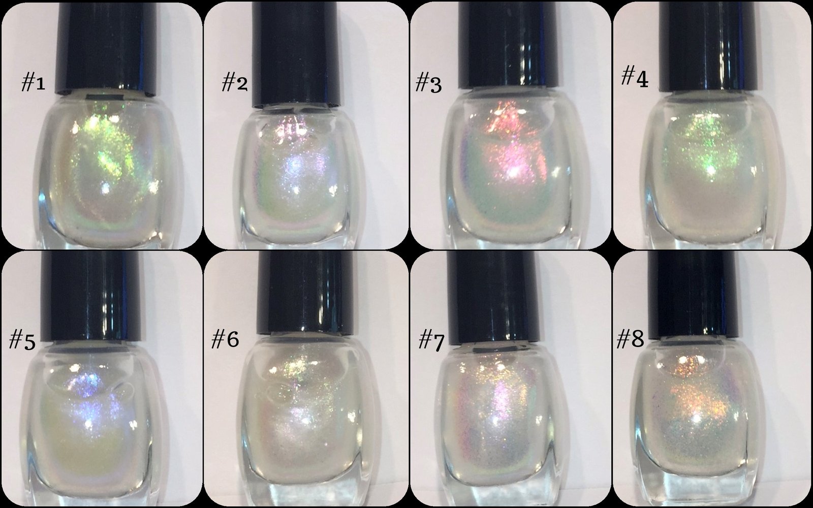 Aurora Dwarf silvermutate×high finger Aurora Dwarf silvermutate