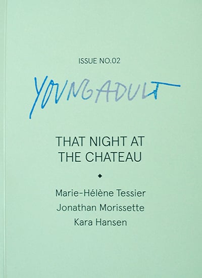 Image of Young Adult / Issue 2: That Night At The Chateau