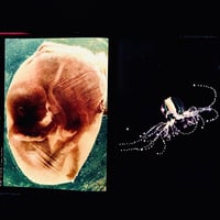 Image 19 of Asahi Camera Annual 1963
