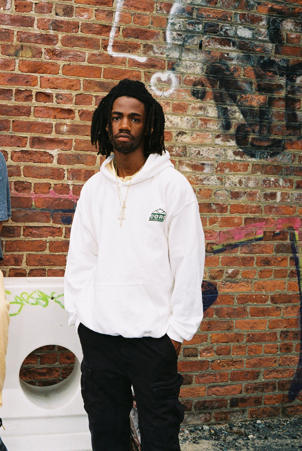 Image of White Rocky Mountain Hoodie