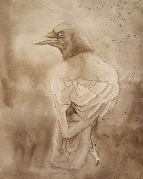 Image of Crow #4 ink wash painting 9"x12"