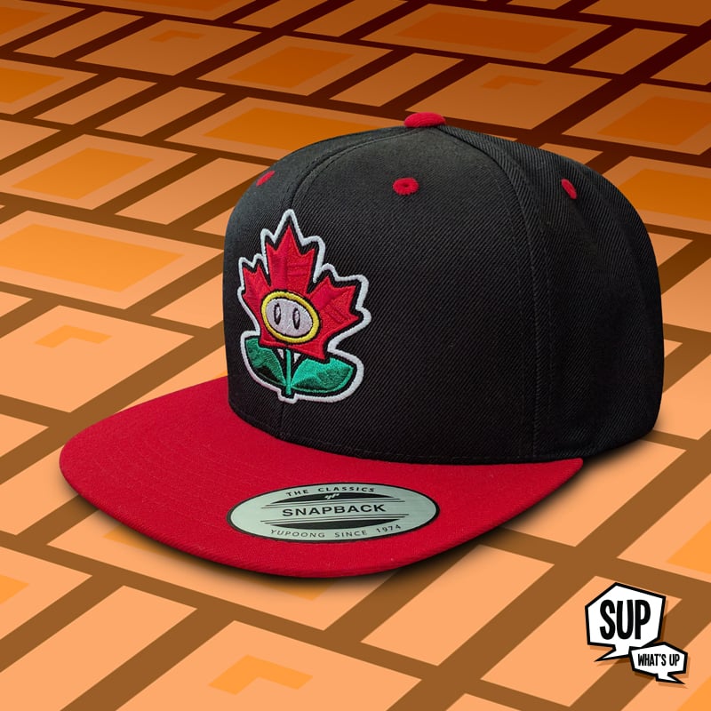 Image of MitchFlowerPower Snap Back Hat