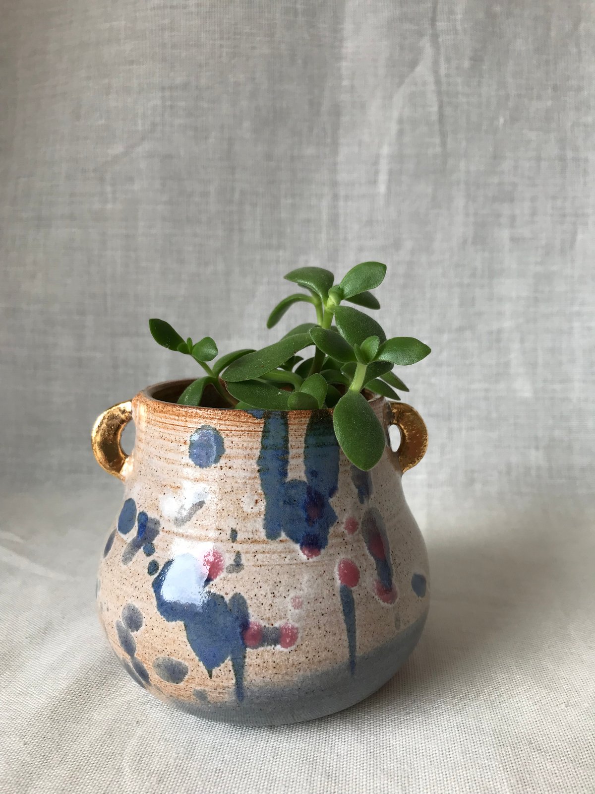 Image of Planter with small gold handles  