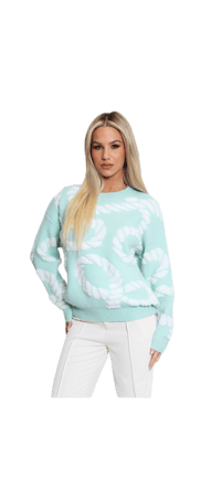 Rope Print Round Neck Knitted Jumper