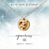 Aquarius Constellation Necklace- 14kt Yellow Gold Fill
