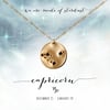 Capricorn Constellation Necklace- 14kt Yellow Gold Fill