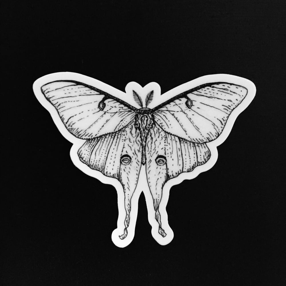 Image of Luna moth sticker