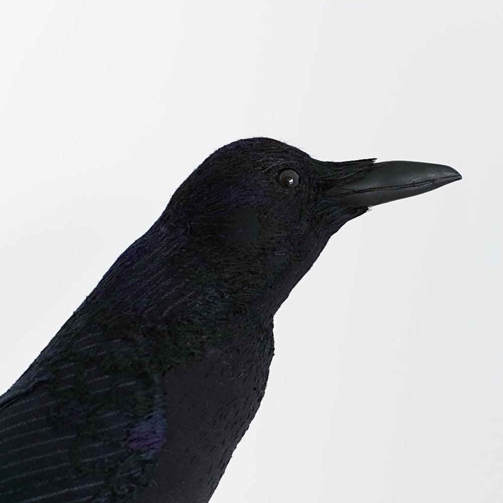 Image of Crow