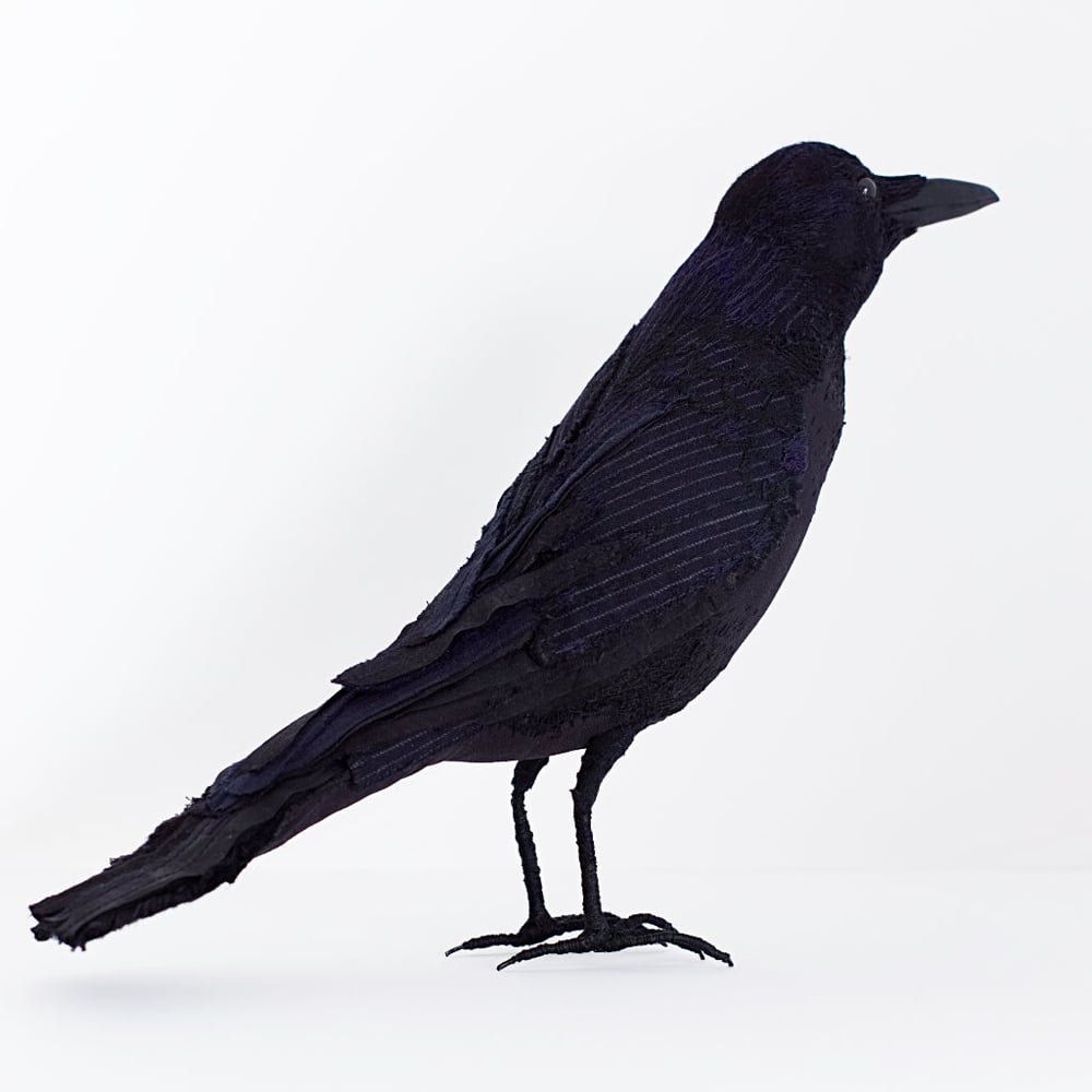 Image of Crow