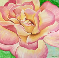 Image 1 of Peace Rose