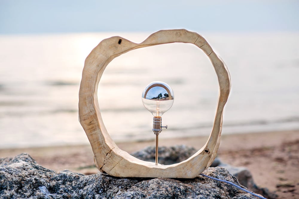 Image of Driftwood lamp with round Edison bulb with mirror effect. Home decor.