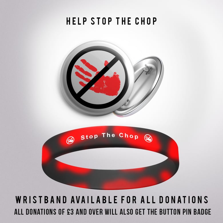 Image of STOP THE CHOP
