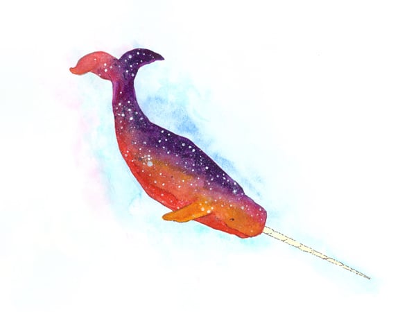 Image of Nebula Narwhal print