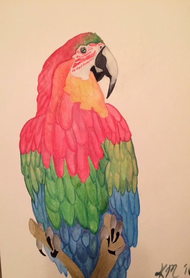 Image of Tropical Parrot