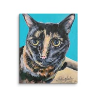 Image 2 of Tortoiseshell Treasure