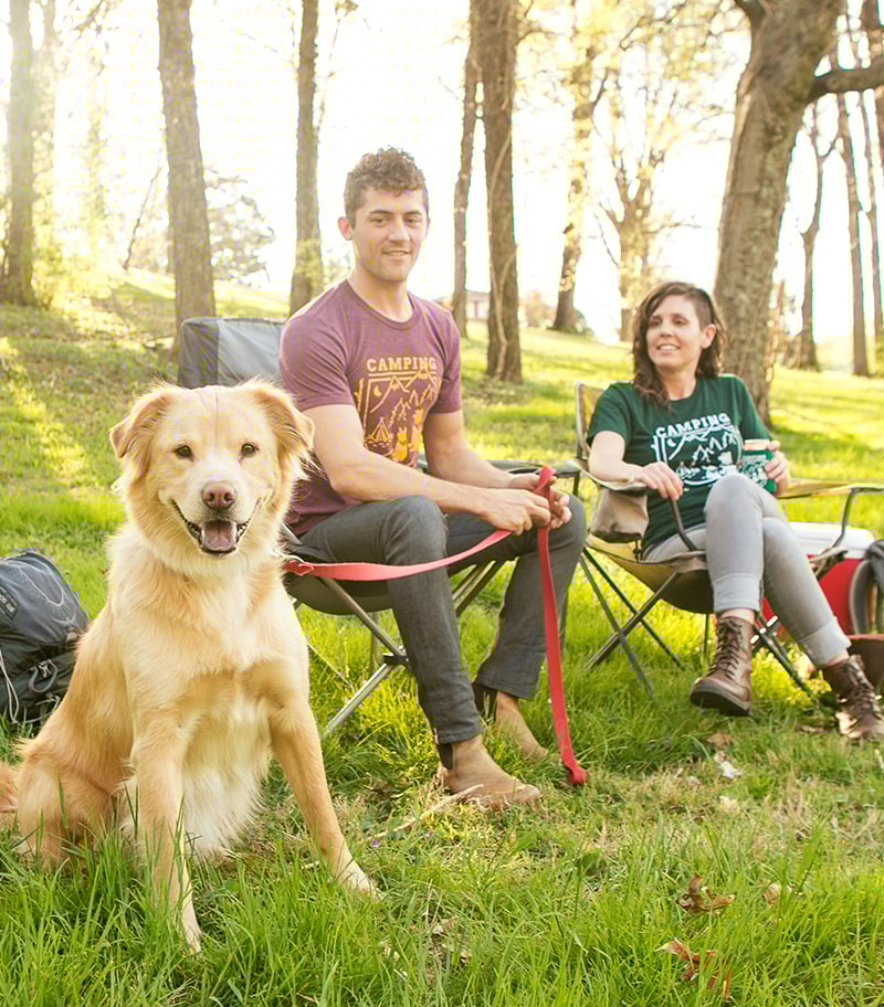 Image of Camping Buddy Tee - Maroon Triblend