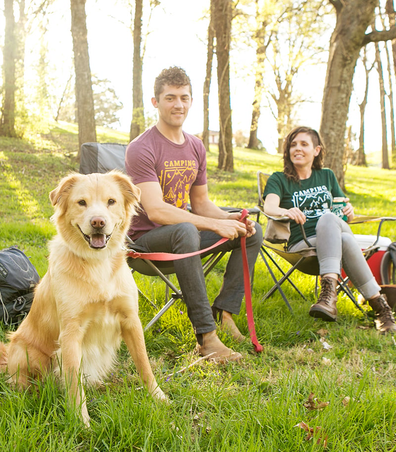 Image of Camping Buddy Tee - Maroon Triblend 