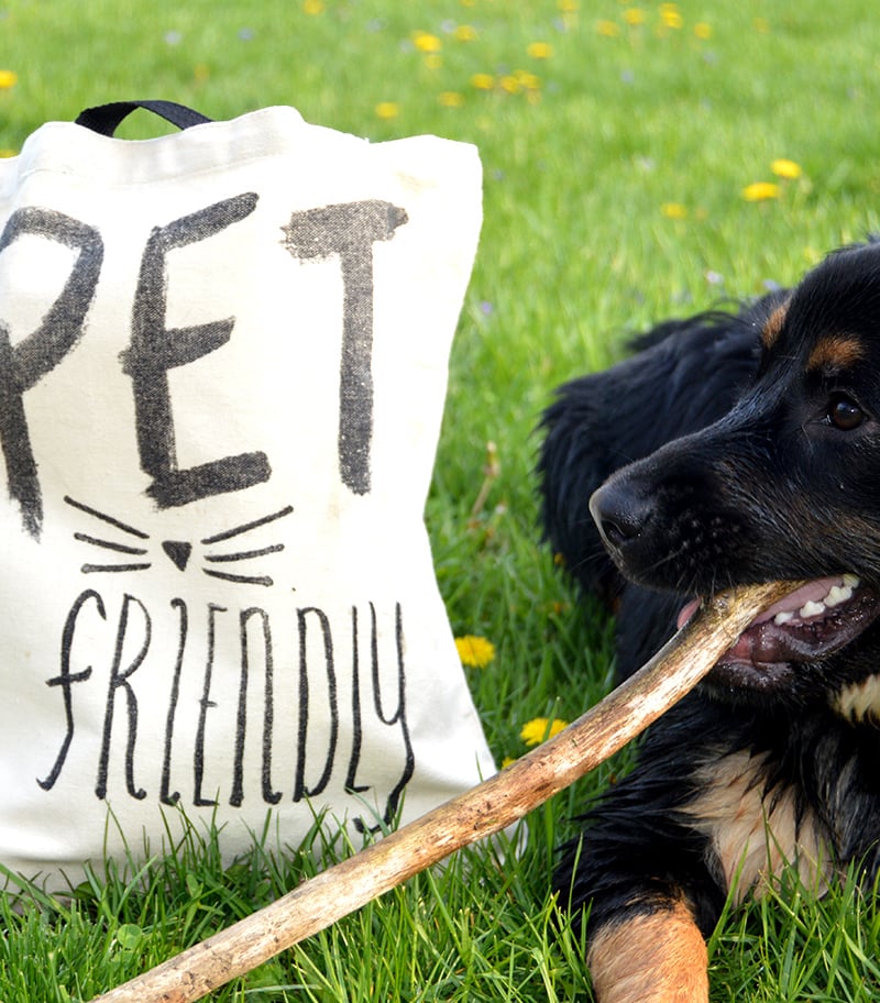 Image of Pet Friendly Tote