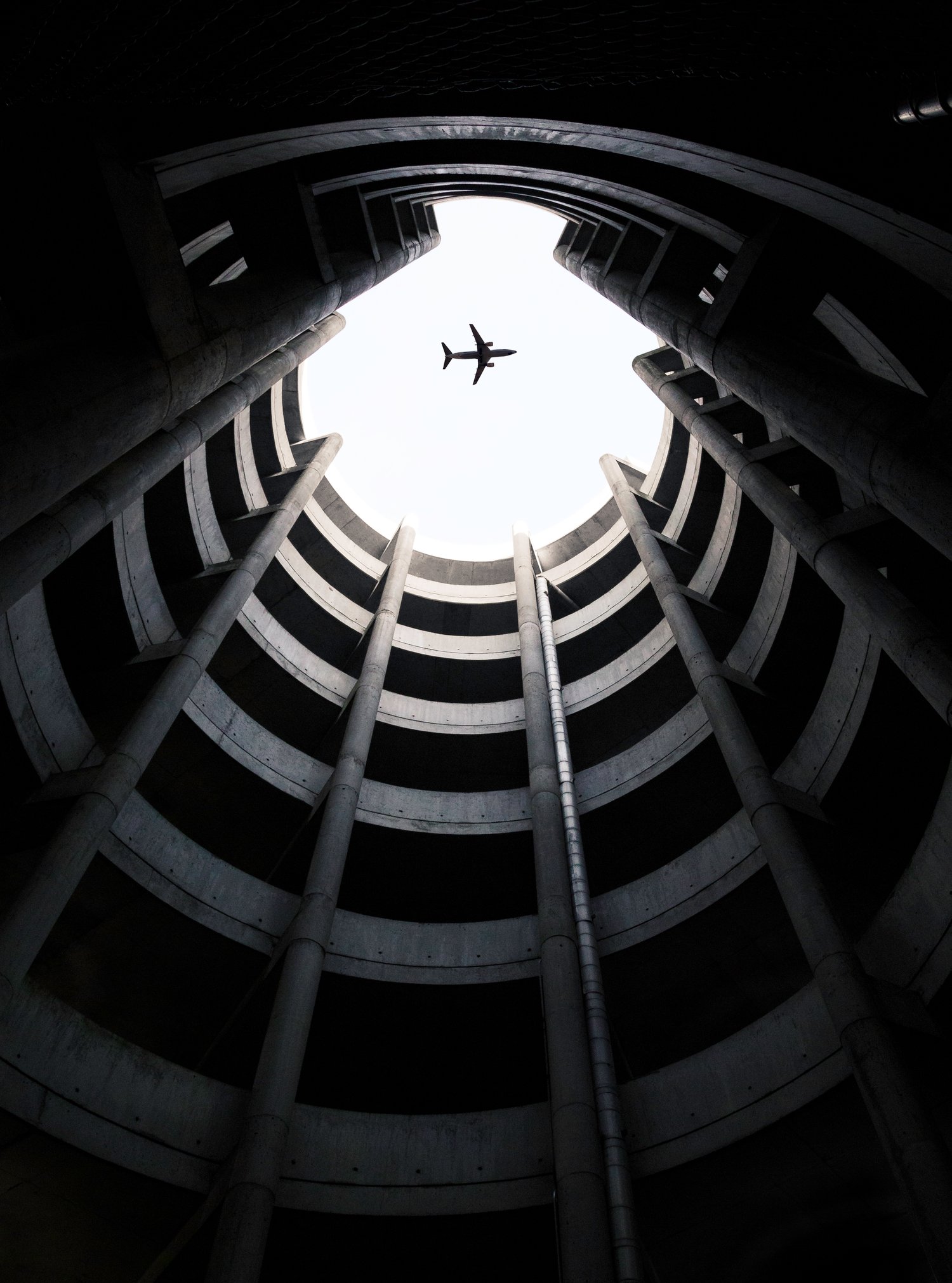 Image of FLIGHT